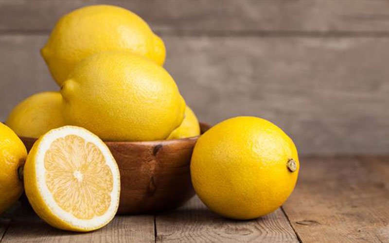 lemon-citrus-trees-for-sale