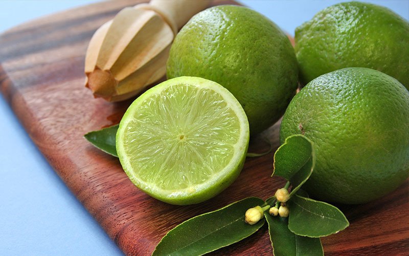 lime-citrus-trees-for-sale