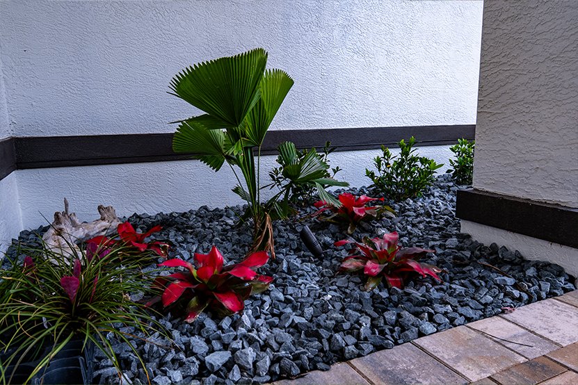 plants-2