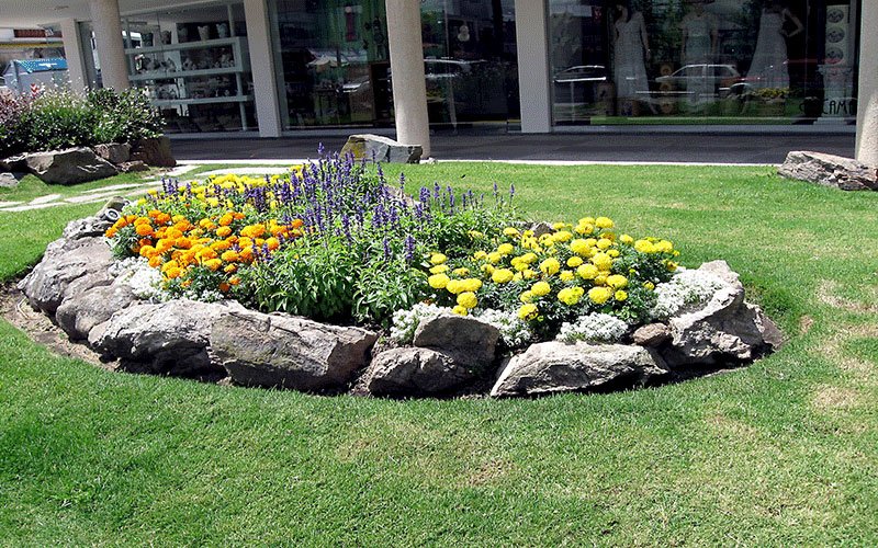 rock-garden-designs-4