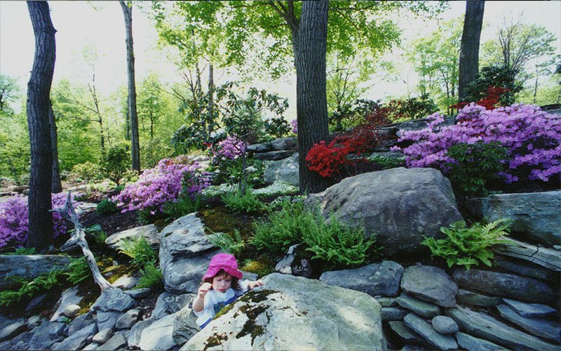 rock-garden-designs-5