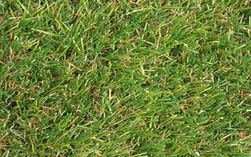 seville-sod-for-sale